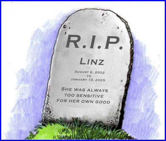 rip